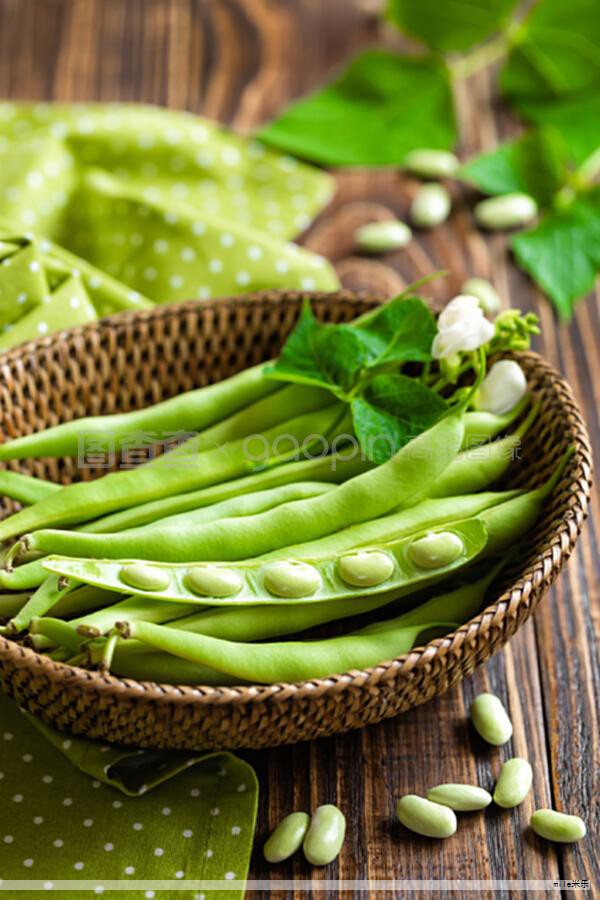 成分与分类认识 成分与分类认识