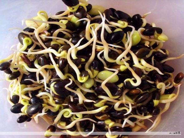 烹饪离不开调味品,而有些人担心调味品对健康。其实以下七种常见调味料不仅能提升口感,还具备一定的养生功效。 烹饪离不开调味品,而有些人担心调味品对健康。其实以下七种常见调味料不仅能提升口感,还具备一定的养生功效。