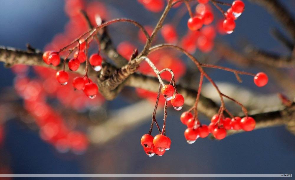 杭州市公安机关环食药犯罪专案组在线索指向市场存在假冒西湖味精的情况后,迅速启动侦查,发现假冒味精品牌多出现在市区及周边小型超市。经调查,这些店铺所售的西湖味精大多来自若干二级批发商,批发价明显低于正规渠道。 杭州市公安机关环食药犯罪专案组在线索指向市场存在假冒西湖味精的情况后,迅速启动侦查,发现假冒味精品牌多出现在市区及周边小型超市。经调查,这些店铺所售的西湖味精大多来自若干二级批发商,批发价明显低于正规渠道。