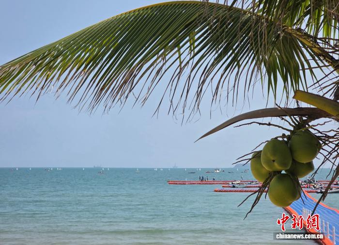 10岁小将哈马德亚沙会赛场劈波斩浪